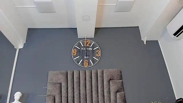 Robin_Rief webcam
