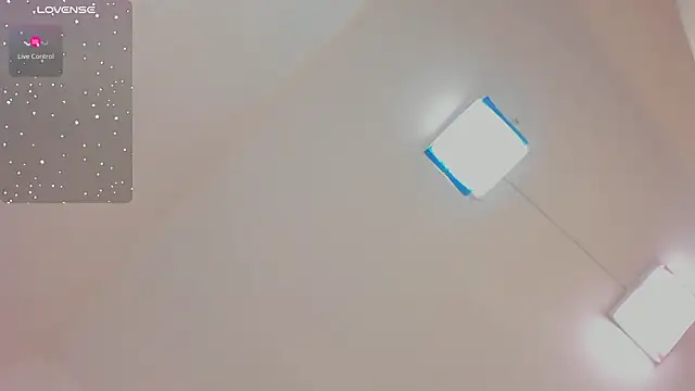 FaloonRoussel webcam