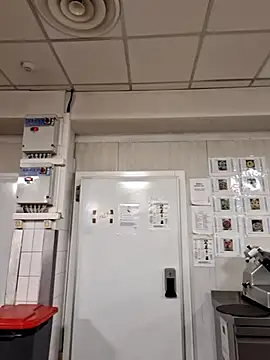 MattedOdobenus webcam