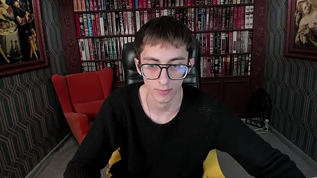 RonBevs webcam