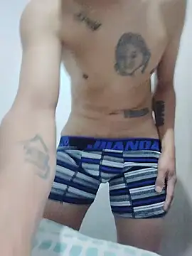 Tiger_cryad webcam