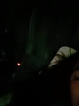 auro99 webcam