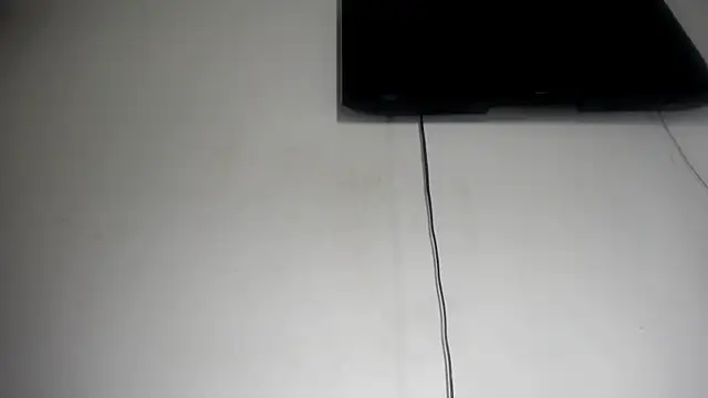 Fox_Loves webcam