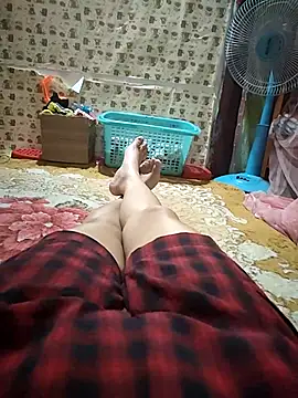 -Tara-a webcam