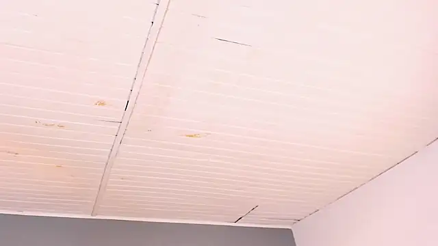 BellaBoobs_ webcam