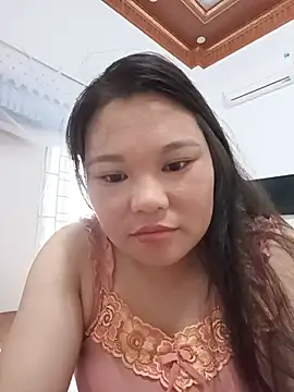Holy-mi webcam