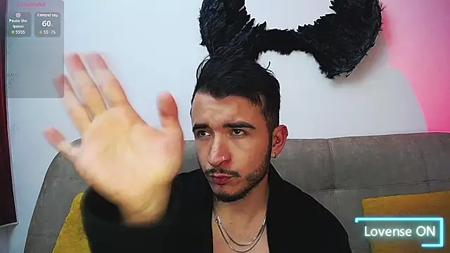 Noha-Wolf webcam