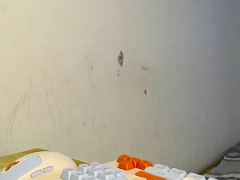 VelvetCoupleLive webcam