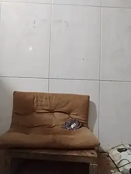 xixi-2026 webcam
