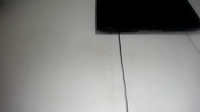 Fox_Loves webcam