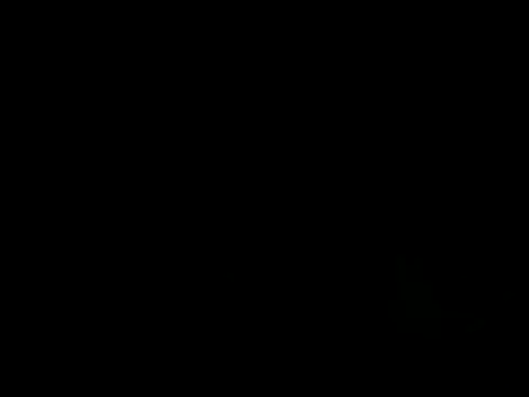 tonkisa webcam