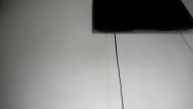 Fox_Loves webcam