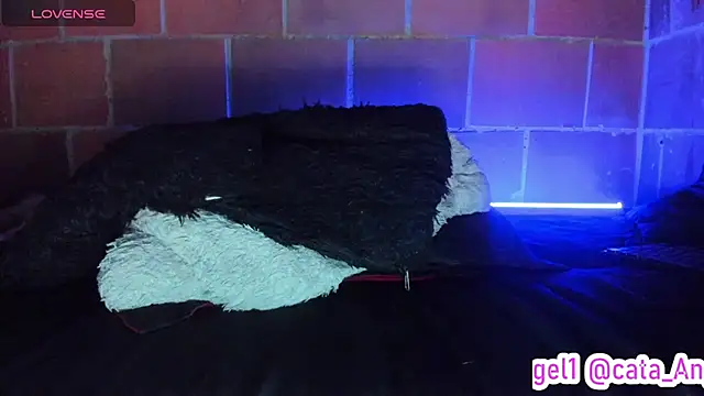 Cata-angel webcam