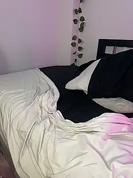 Dollkat webcam