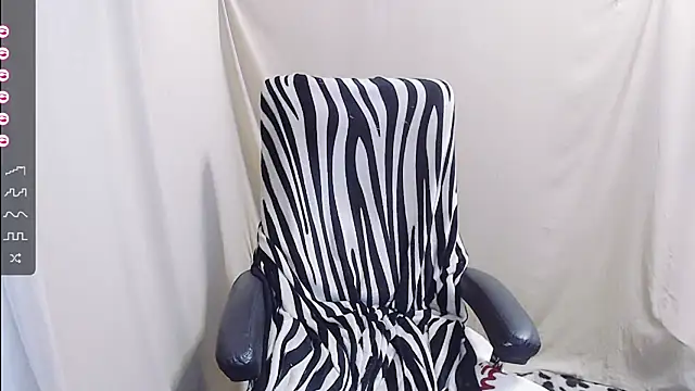 AkinLocal webcam