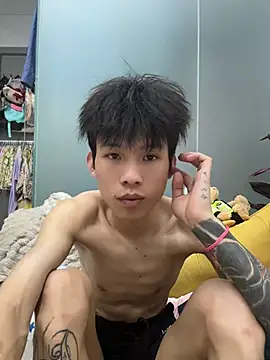 KPL-11 webcam