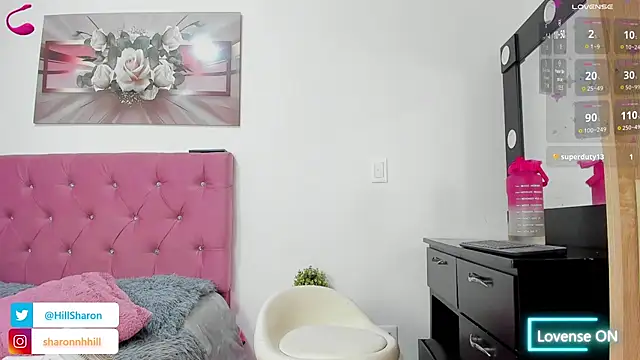 sharon_hill webcam