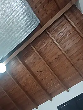 SilvaBranko webcam