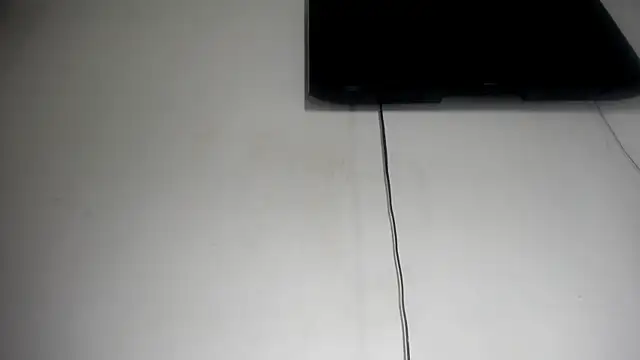 Fox_Loves