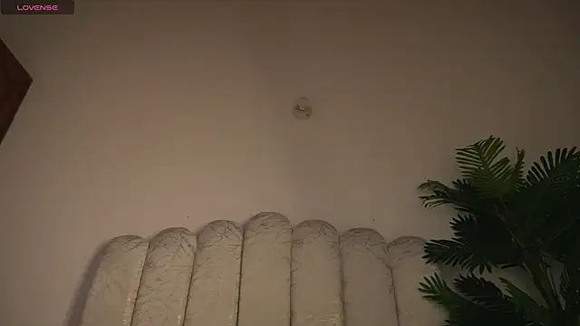 yayoi_cresp18 webcam