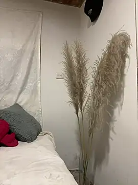 Liah_ferrer webcam