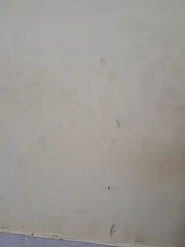 Teri_lella