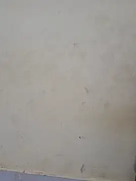 Teri_lella