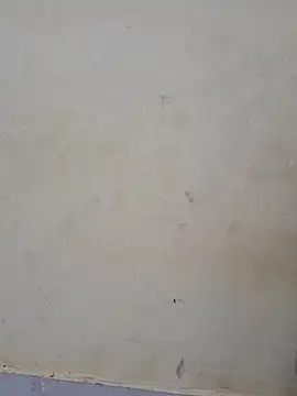 teri_lella (F young) - #big-ass #big-ass-doggy-style #big-ass-indian #big-ass-young #black-hair #black-hair-young #blowjob #cam2cam #cheapest-privates #cheapest-privates-indian #cheapest-privates-young #dirty-talk #doggy-style #erotic-dance #handjob #hd #indian #indian-young #masturbation #mobile #mobile-young #most-affordable-cam2cam #oil-show #petite #petite-indian #petite-young #role-play #role-play-young #romantic #romantic-indian #romantic-young #sexting #squirt #squirt-indian #squirt-young #yoga #yoga-young #young