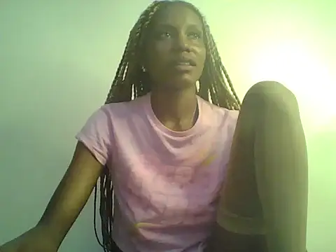 DelteAfriq webcam