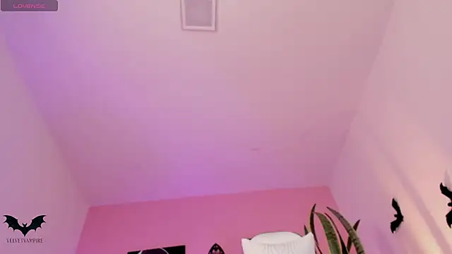 VelvetVampiree live cam on StripChat