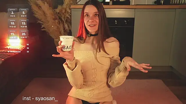Arlitik webcam