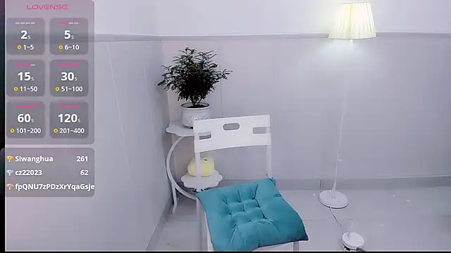 Wan-Yun-520 webcam