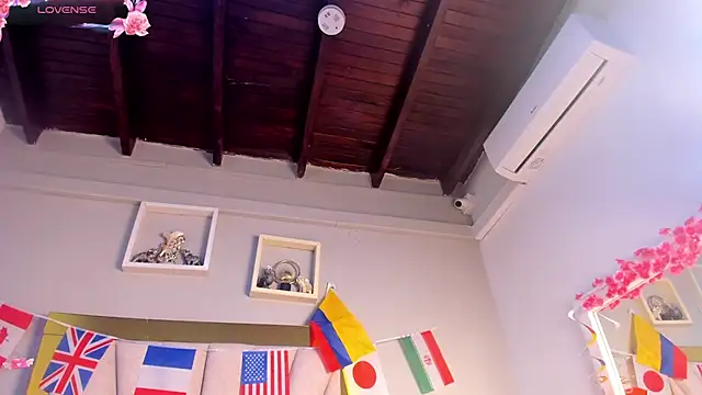 vahiolet_fuentes webcam