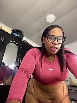 NV-Nikoll webcam
