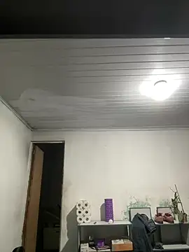Sarado_Tesudo