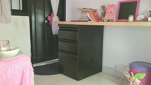 eva_sin18 webcam
