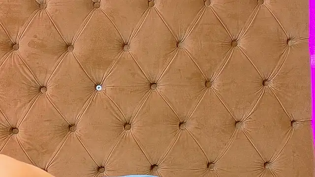 CoraVex webcam