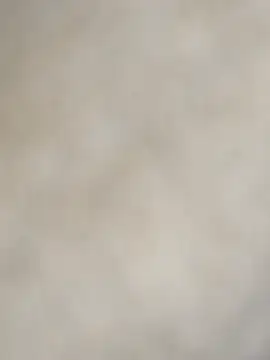 Teluguwildhorse webcam