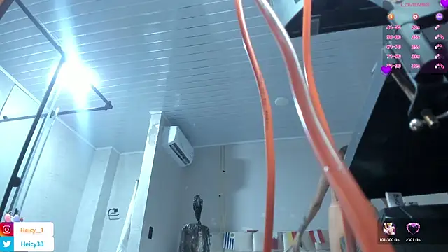 Heicy_ webcam