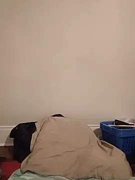 KingBlackStallion webcam