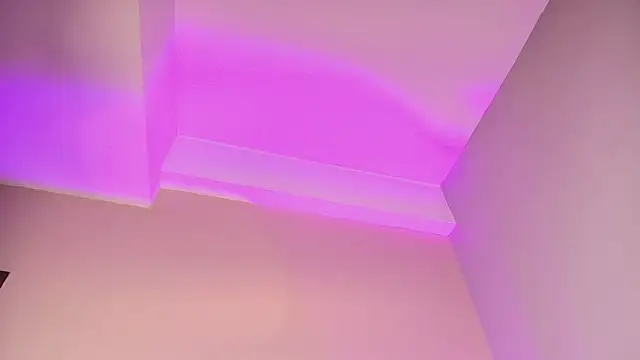JupiteFox webcam