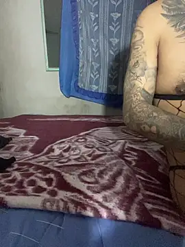 manuamador webcam