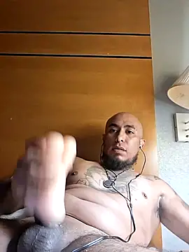 Mac15151 webcam