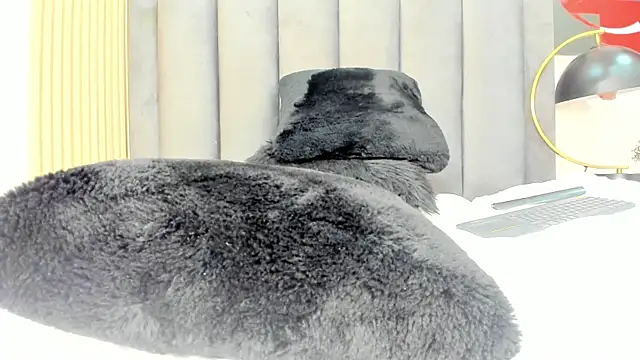 Mathyw_Mont webcam