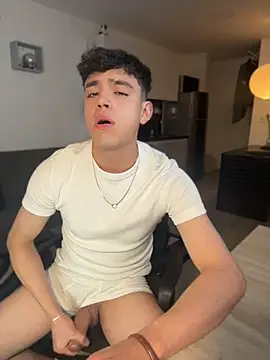 aronnhidden webcam