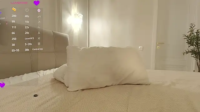 linbaelin webcam