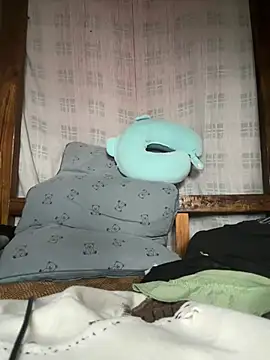 daaqnn webcam