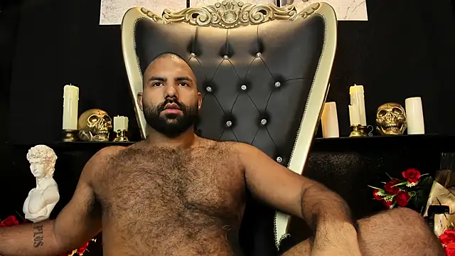 BeardAndrew webcam
