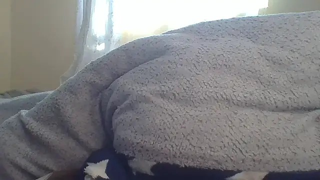 ndivhuwomuleya webcam