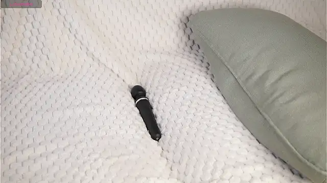 CaseyMulders webcam